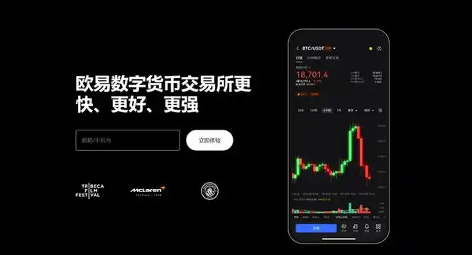 欧义官方平台系统展示图